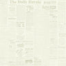 The Daily Wallpaper by Magnolia Home Vol. 1