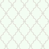 Modern Trellis Sure Strip Wallpaper by Open Sheet