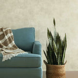 Plaster Finish Wallpaper by Magnolia Home Vol. 2