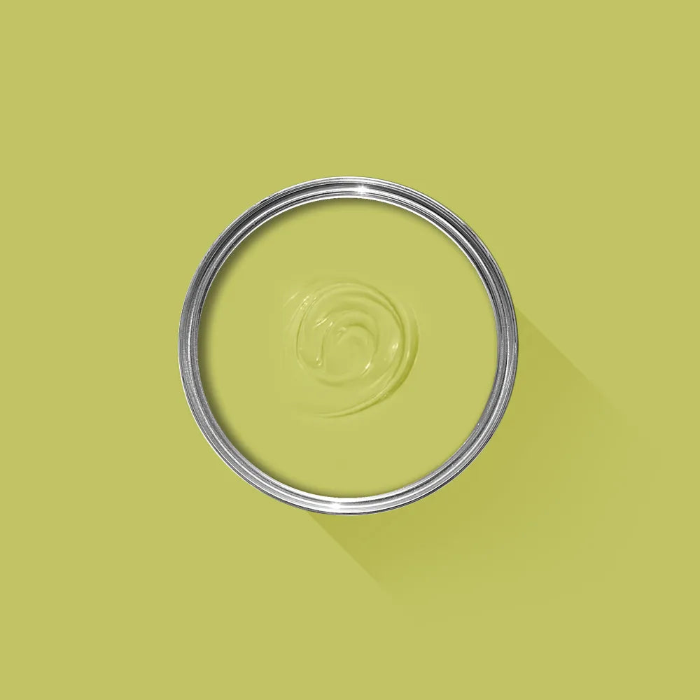 Acid Drop No. 9908 - Farrow & Ball Paint