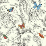 Papillon Wallpaper by Open Sheet
