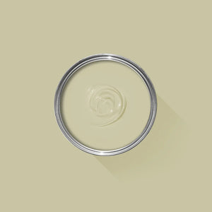 Ash Grey No. W9 - Farrow & Ball Paint