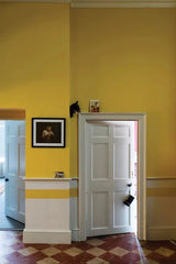 Babouche No. 223 - Farrow & Ball Paint