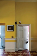 Load image into Gallery viewer, Babouche No. 223 - Farrow &amp; Ball Paint
