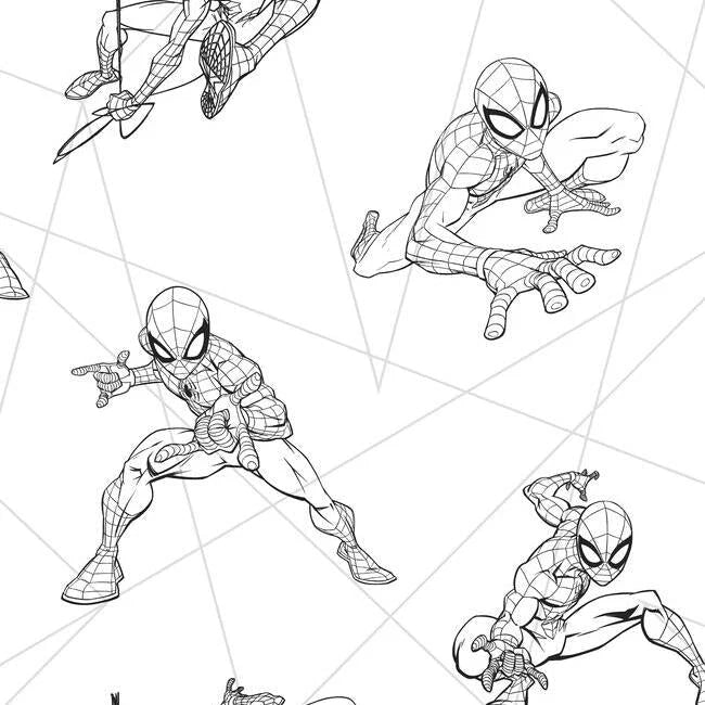 Spider-Man Fracture Wallpaper by Disney Kids Vol. 4