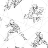 Spider-Man Fracture Wallpaper by Disney Kids Vol. 4