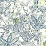 Flowering Desert Wallpaper by Legacy