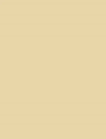 Bombazine No. 9902 - Farrow & Ball Paint