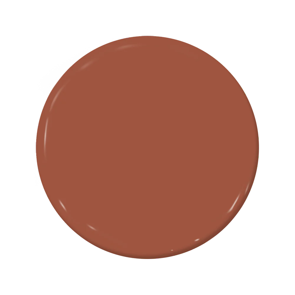 C2-583 Roasted Tomato - C2 Paint