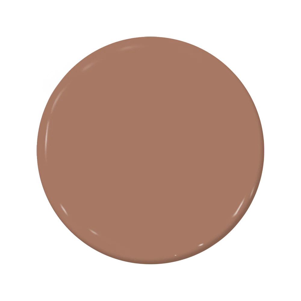 C2-601 Brownstone - C2 Paint