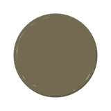 C2-645 Turtleback - C2 Paint