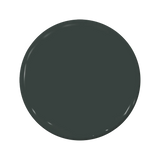 C2-677 Blackened Pearl - C2 Paint