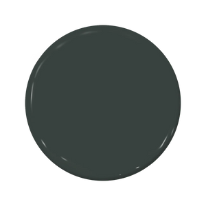 C2-677 Blackened Pearl - C2 Paint