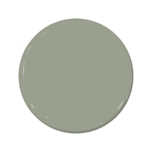 C2-682 Sage - C2 Paint