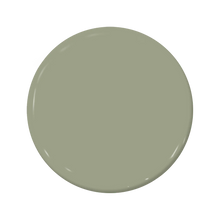 Load image into Gallery viewer, C2-683 Lilypad - C2 Paint
