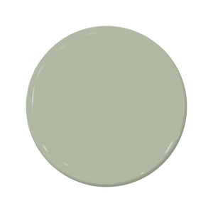 C2-684 Balsam - C2 Paint