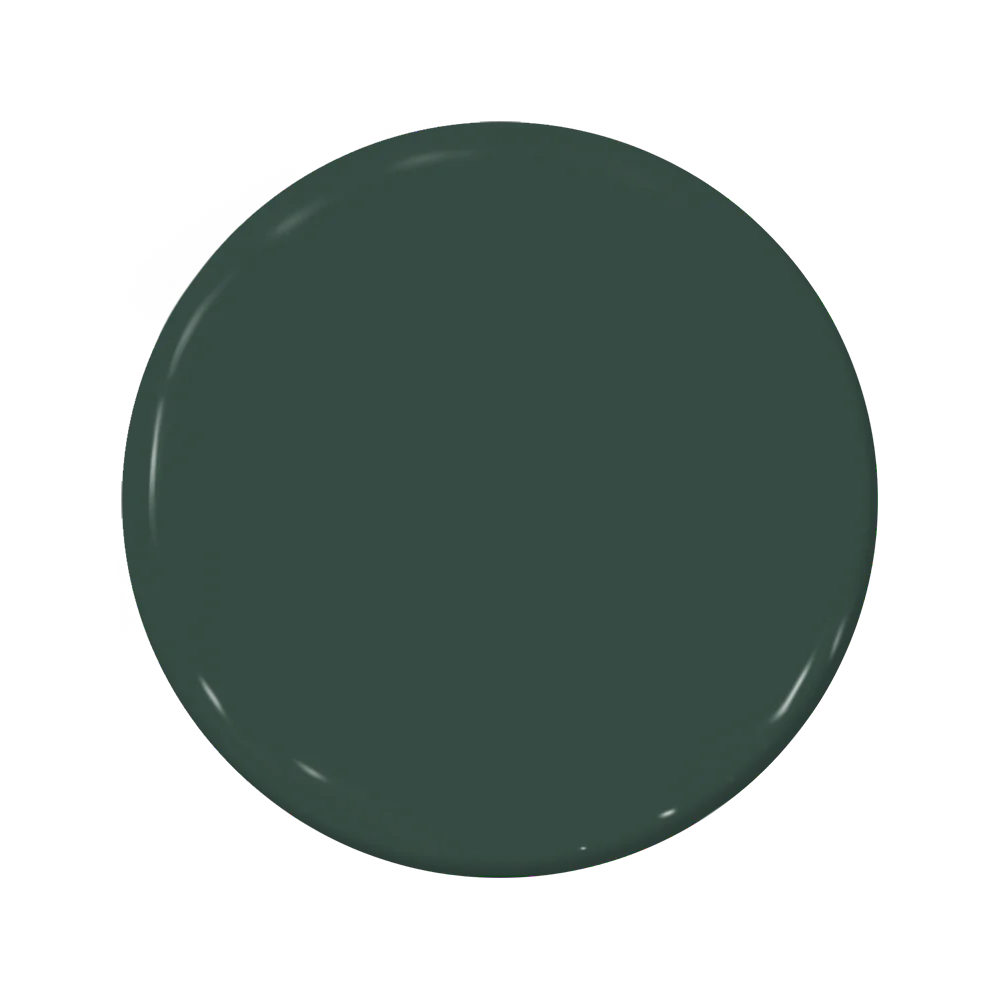 C2-694 Chargreen - C2 Paint