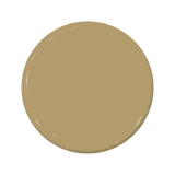 C2-874 Cheetah - C2 Paint