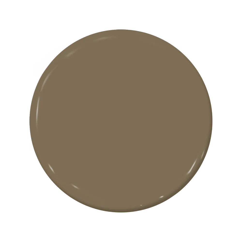 C2-887 Earth - C2 Paint