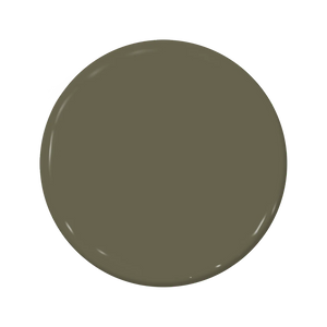 C2-919 Rainforest - C2 Paint