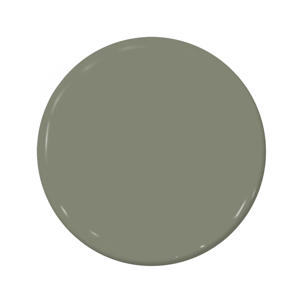 C2-938 Olive Branch - C2 Paint