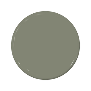 C2-938 Olive Branch - C2 Paint