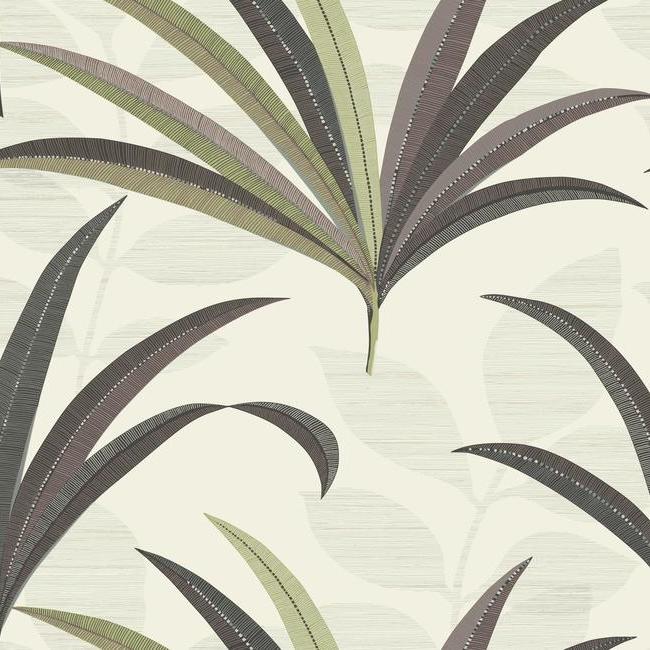El Morocco Palm Wallpaper by Antonina Vella Wallpaper