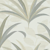 El Morocco Palm Wallpaper by Antonina Vella Wallpaper