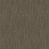 Star Struck Wallpaper by Candice Olson Wallcoverings