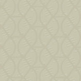 Opposites Attract Wallpaper by Candice Olson Wallcoverings
