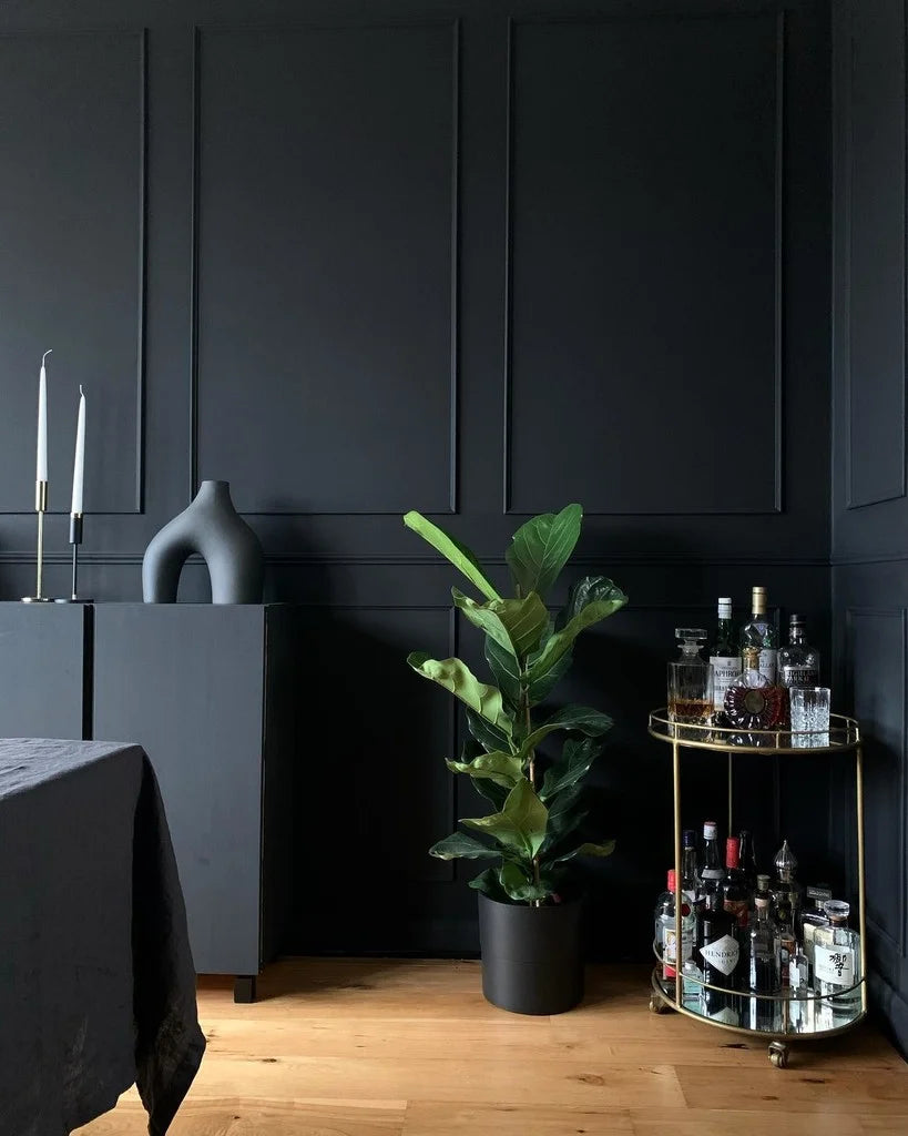 Pitch Black No. 256 - Farrow & Ball Paint