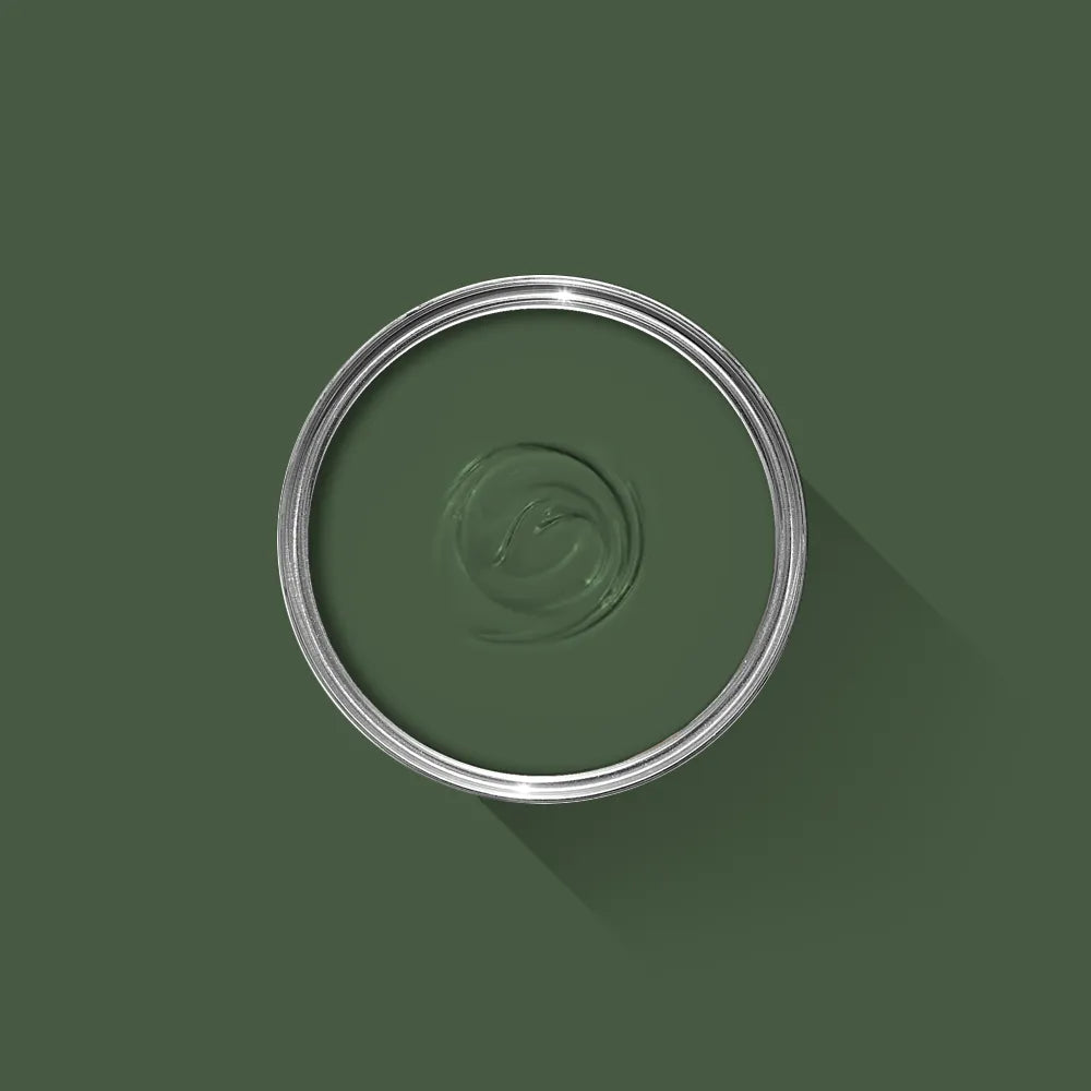 Duck Green No. W55 - Farrow & Ball Paint