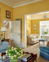 Yellow Ground No. 218 - Farrow & Ball Paint