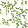 Creeping Fig Vine Wallpaper by Simply Farmhouse