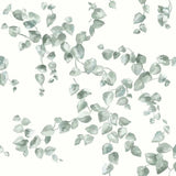 Creeping Fig Vine Wallpaper by Simply Farmhouse