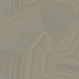 Dotted Maze Wallpaper by New Origins