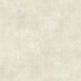 Plaster Finish Wallpaper by Magnolia Home Vol. 2