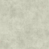 Plaster Finish Wallpaper by Magnolia Home Vol. 2