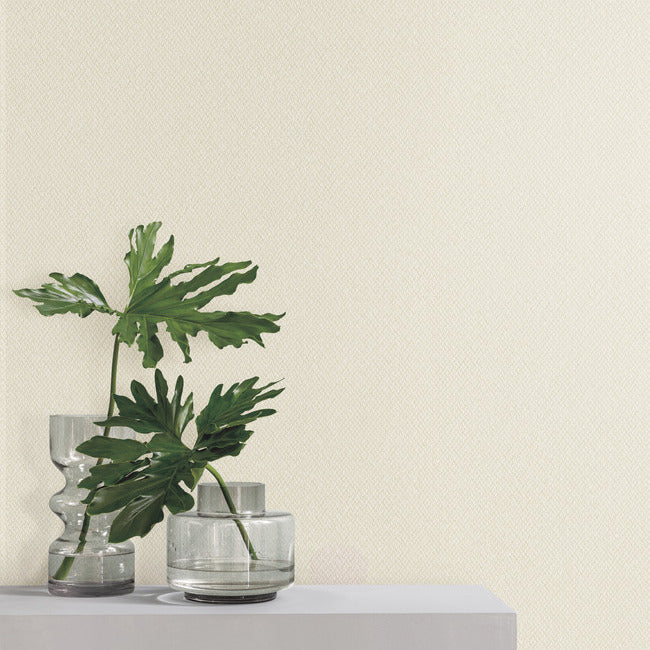 Give & Take High Performance Wallpaper by Natural Digest