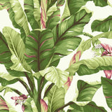 Banana Leaf Wallpaper by Legacy
