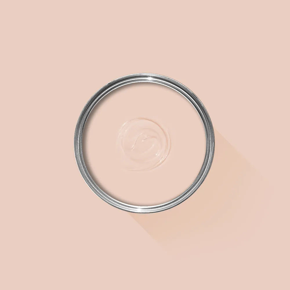 Pink Ground No. 202 - Farrow & Ball Paint – Randall's