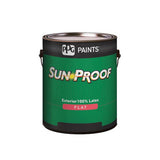 Spun Cotton PPG1203-1 - PPG Paint