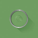 Raw Tomatillo No. CB6 - Farrow & Ball Paint