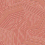 Dotted Maze Wallpaper by New Origins
