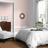 Ballet Slipper PPG1190-2 - PPG Paint