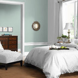 Blue Shamrock PPG1136-4 - PPG Paint