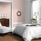 Cameo Peach PPG1058-2 - PPG Paint