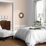 Canyon Peach PPG1070-1 - PPG Paint