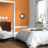 Carmelized Orange PPG1197-7 - PPG Paint