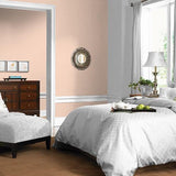 Dreamsicle PPG1196-3 - PPG Paint